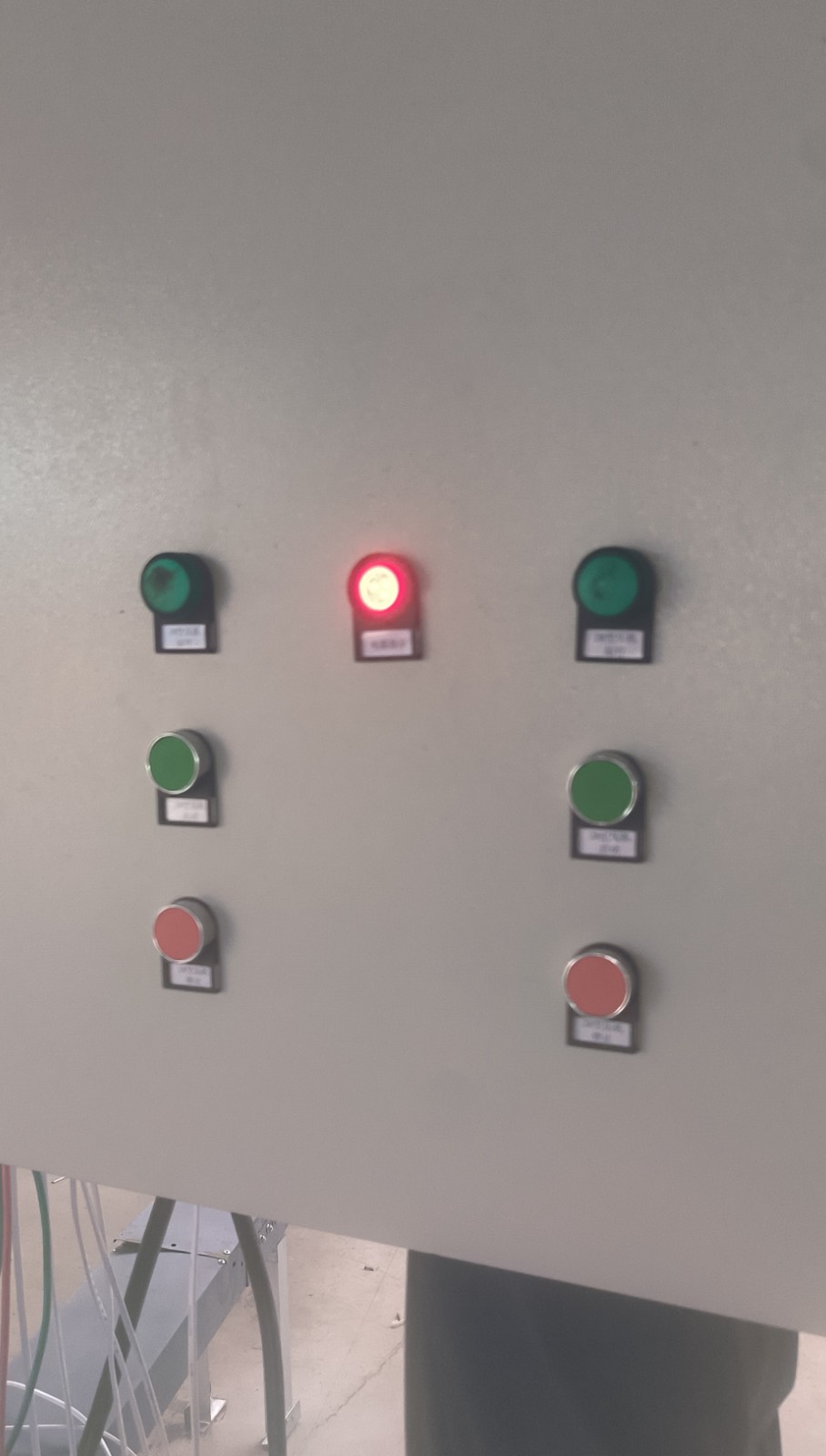 1786680212137255.jpg